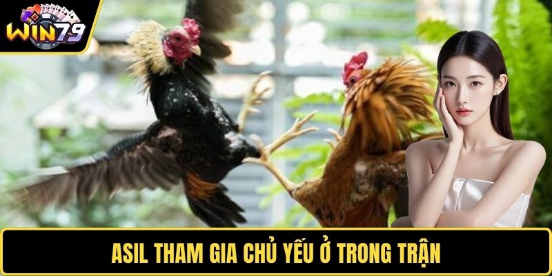 Asil tham gia chủ yếu ở trong trận 