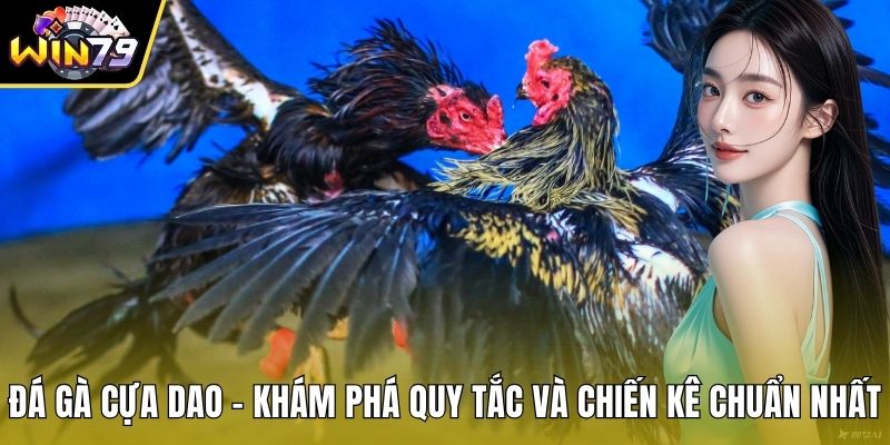 Đá Gà Cựa Dao