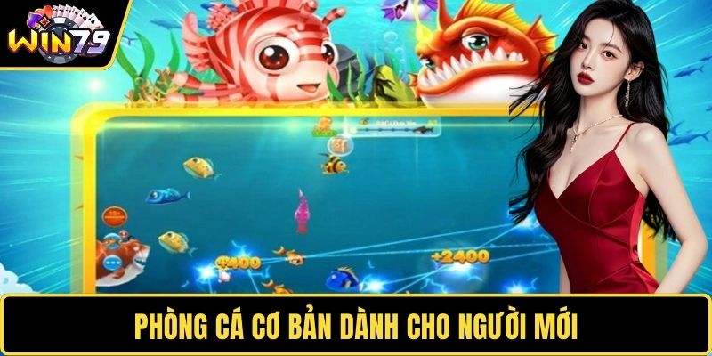 Phòng cá cơ bản dành cho người mới