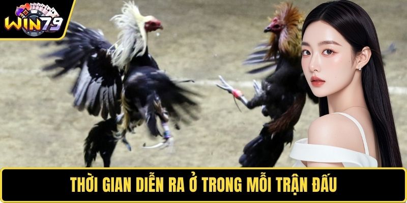 Thời gian diễn ra ở trong mỗi trận đấu