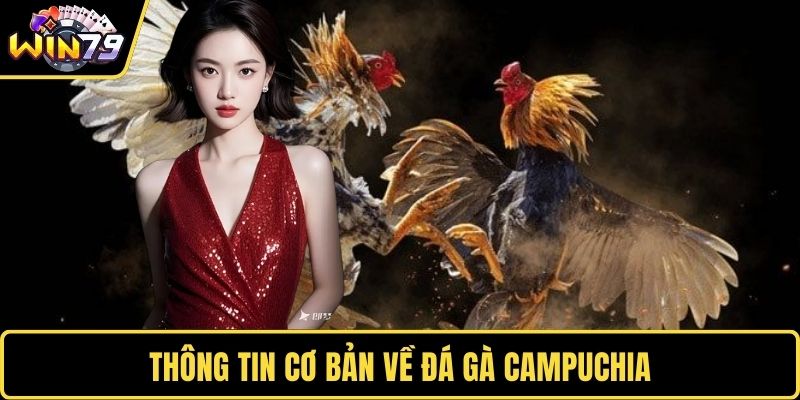 Cựa dao chuẩn quốc tế khi cá cược